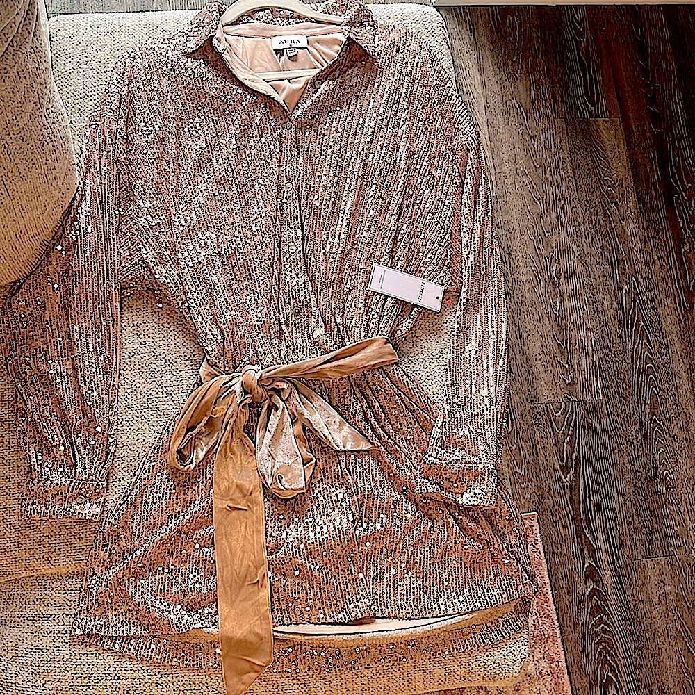NWT! Sequin Button Down Holiday Dress